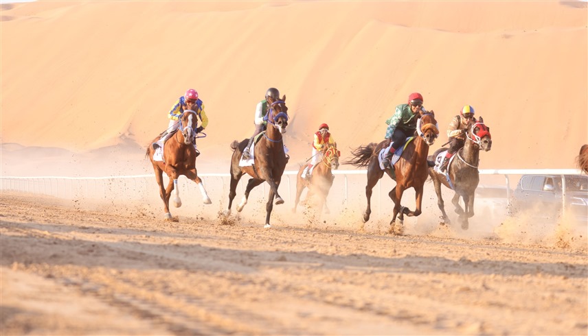 سباق الخيول العربية الأصيلة (وام)