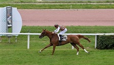 مهرجان منصور بن زايد.. 7 خيول تتنافس على اللقب الخميس بفرنسا