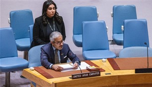 في مجلس الأمن.. الإمارات تدين جميع أشكال العنف الجنسي