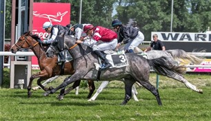 كأس الوثبة.. 10 خيول تتنافس في بلجيكا الجمعة