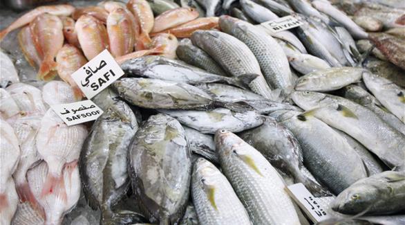 سوق أبوظبي للأسماك (أرشيف) 