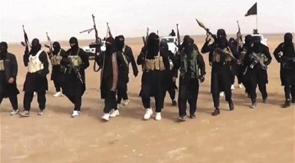 عناصر من تنظيم داعش الإرهابي (أرشيف)