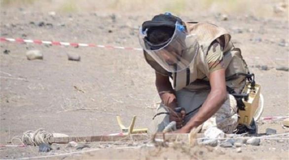 عنصر من الجيش يفكك ألغاماً زرعها الحوثيين (أرشيف)