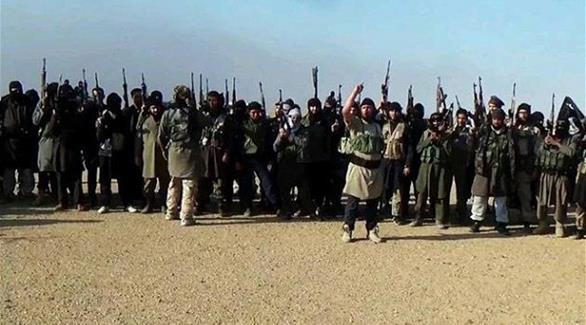 مقاتلين من تنظيم داعش الإرهابي (أرشيف)
