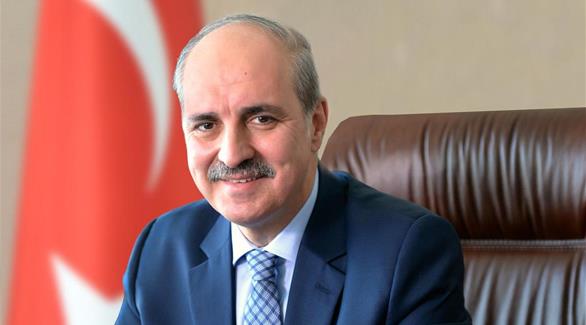 نائب رئيس الحكومة التركية نعمان قورتلموش(أرشيف)