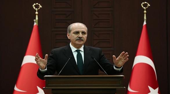نائب رئيس الوزراء التركي نعمان قورتولموش (أرشيف)
