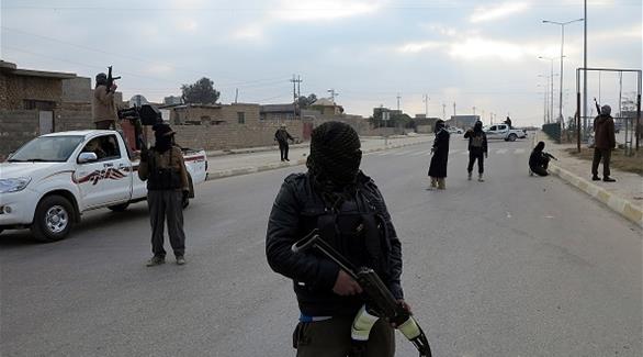 عدد من مسلحي داعش في الموصل (أرشيف)