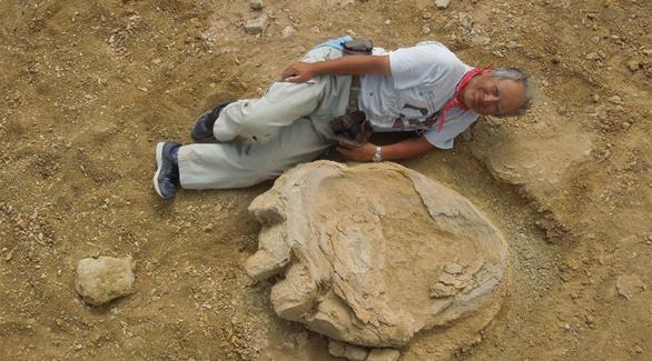 أحد العلماء بجانب أثر الديناصور الذي تم استكشافه في صحراء غوبي (أ ف ب)