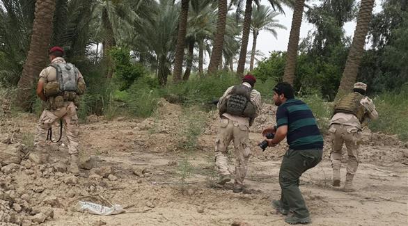 تطهير أماكن الزراعة من داعش في العراق(أرشيف)