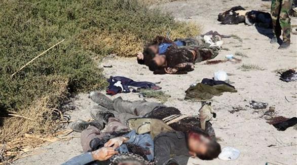 قتلى من عناصر تنظيم داعش (أرشيف)