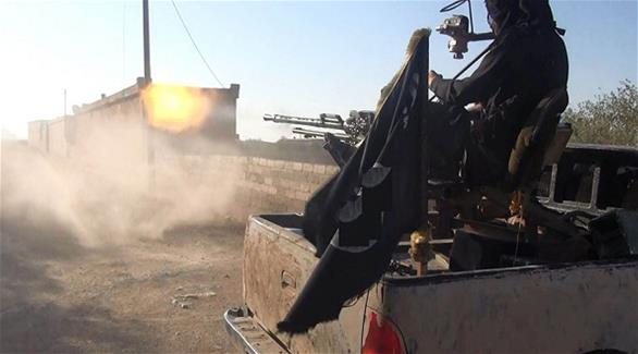 داعش على مسافة 4 كيلومترات من تدمر (أرشيف)
