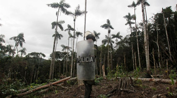 اكتشاف قرية "بوليفية" تعمل بالكامل في صناعة وتجارة الكوكايين 201310011137961