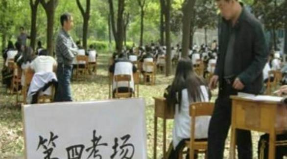 مدرسة صينية تنقل الإمتحانات إلى الغابة لمنع الغش 201405061152981