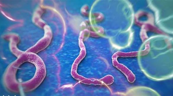 الأمم المتحدة تعتمد بالإجماع قراراً لاحتواء مرض إيبولا (أرشيف)