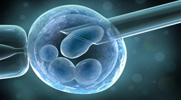اكتشاف طبي جديد: خلايا جذعية تقضي على سرطان الدماغ 201410270418883