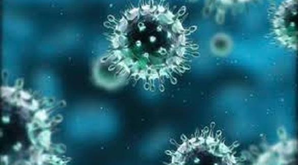 3 وفيات جديدة بسبب الفيروس في الرياض والطائف والجوف(أرشيف)