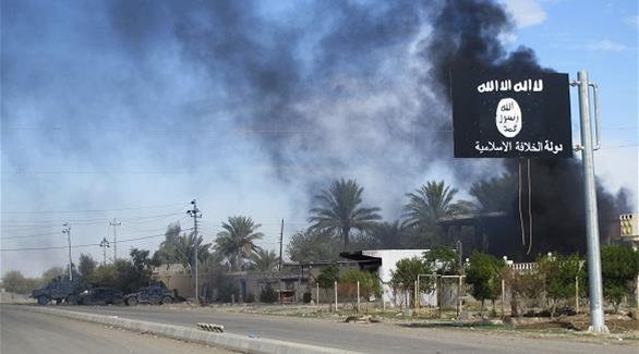 داعش في العراق (رويترز)