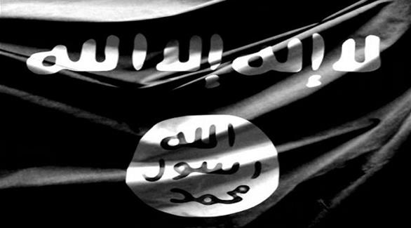 القوات الأمنية: ضبط سيارة محملة بالأسلحة وأعلام "داعش" بالمطرية (أرشيف)