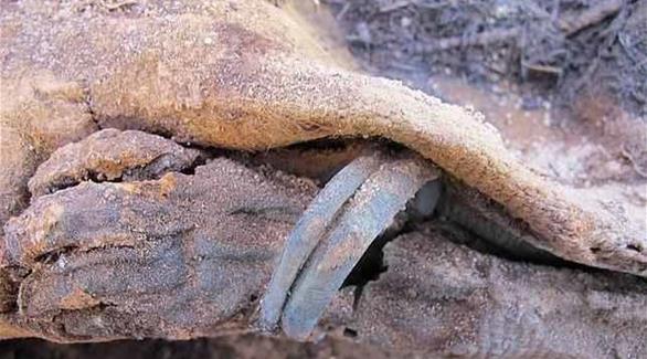 اكتشاف مقبرة هائلة في مصر تضم ملايين المومياوات 