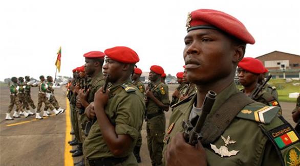 عملية نوعية للجيش الكاميروني