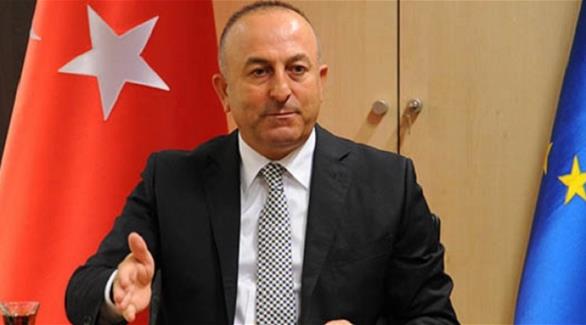وزير خارجية تركيا: تدريب وتجهيز مقاتلي المعارضة السورية قد يبدأ قبل مارس (أرشيف)