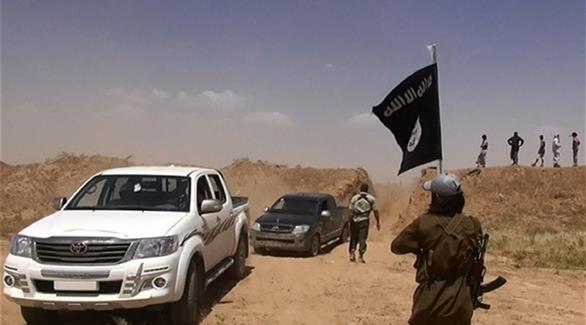 داعش يعمل على سحب قواته من مناطق بحسب خطة تكتيكية (أرشيف)