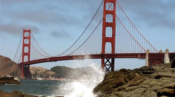 أسد بحر ينقذ رجلاً حاول الانتحار من على جسر بولاية كاليفورنيا 201503040549601