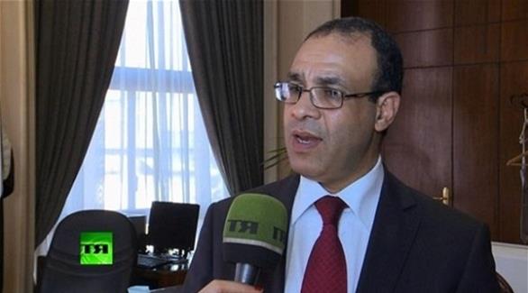 لمتحدث الرسمي باسم وزارة الخارجية المصرية السفير بدر عبد العاطي (أرشيف)