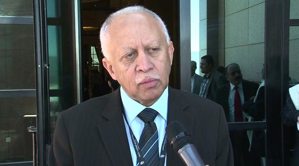 وزير الخارجية اليمني المكلف الدكتور رياض ياسين (أرشيف)