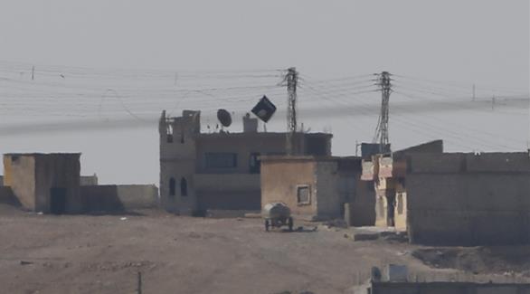 بلدة كوباني الحدودية بين سوريا وتركيا(رويترز)