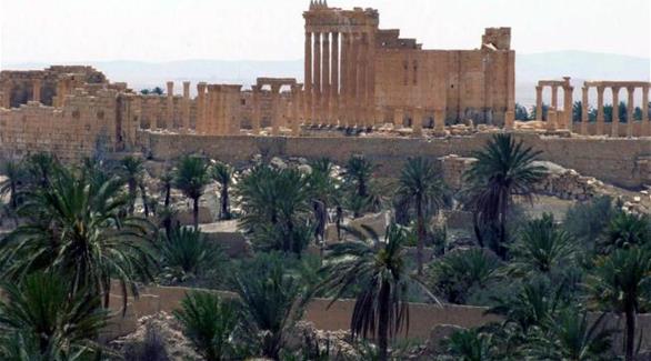 قلعة تدمر الأثرية (سانا)