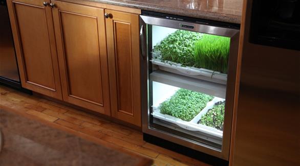 جهاز "أربن كلتيفتور" لزراعة الخضروات والفواكهة الطازجة بالمطبخ