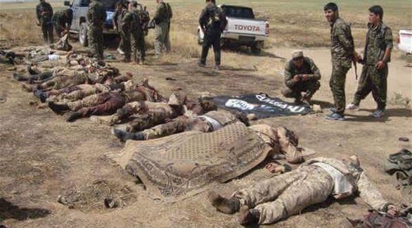 جثث عناصؤ من داعش في العراق (أرشيف)