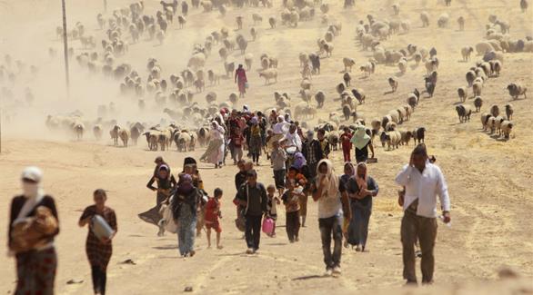 إيزيديون يغادرون العراق نحو الحدود السورية في 2014 بعد سيطرة داعش(رويترز)