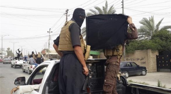 تنظيم داعش يجذب الجماعات المتشددة الأخرى (أرشيف)