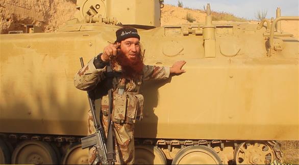 تنظيم داعش في سيناء (أرشيف)