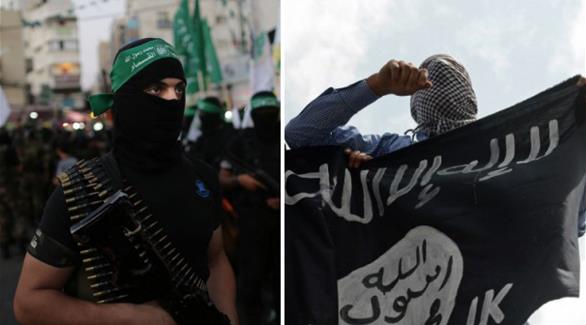 انصار داعش ومقاتلو الجناح العسكري لحركة حماس(أ ف ب)