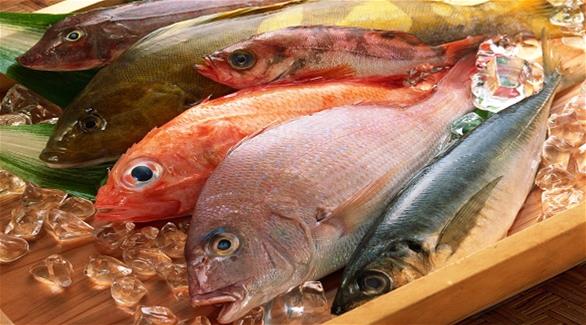 أفضل 5 وجهات سياحي لعشاق الأطعمة البحرية في العالم (غوباك بيكنغ) 