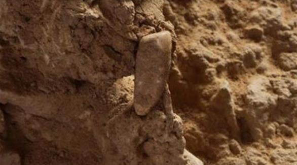 عثر فريق من منقبي الاثار في جنوب غرب فرنسا على سن بشرية تعود لانسان عاش قبل 560 الف سنة (صحيفة فرنسية)