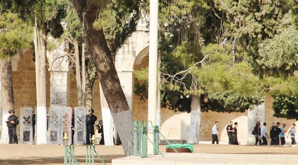 كوهين يقتحم المسجد الأقصى وسط حراسة مشددة(24)