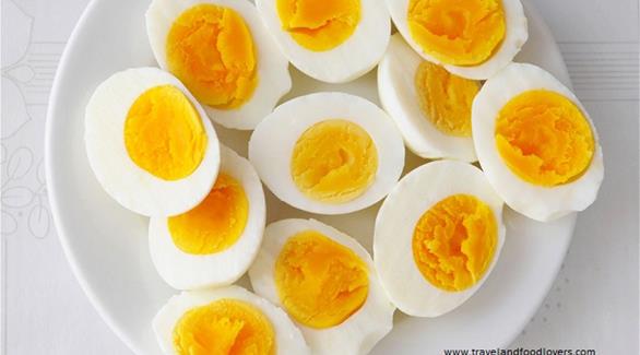 تحتوي البيضة الواحدة على 6 غرامات من البروتين
