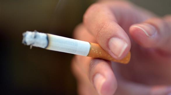 معظم السجائر تحتوي على 15.8 ملغ نيكوتين لكل غرام من التبغ