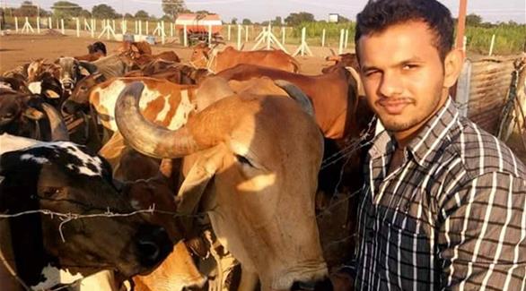 بالصور.. مسابقة لأجمل سيلفي مع الأبقار في الهند