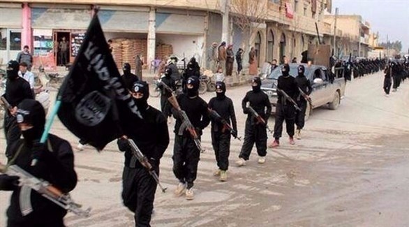 عناصر من تنظيم داعش (أرشيف)