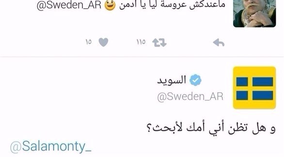 صورة لدردشة على صفحة السويد عربي.(أرشيف)