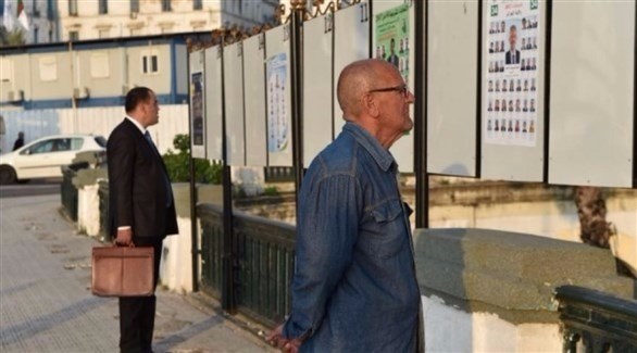 جزائريون يتفقدون لوحات انتخابية (تويتر)