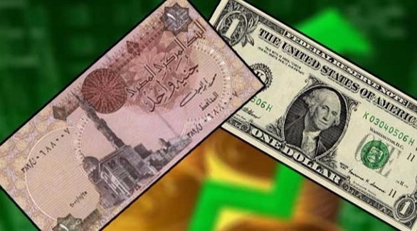 دولار أمريكي وجنيه مصري (أرشيف)