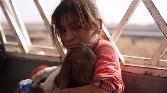 طفلة نازحة من الموصل (أرشيف)