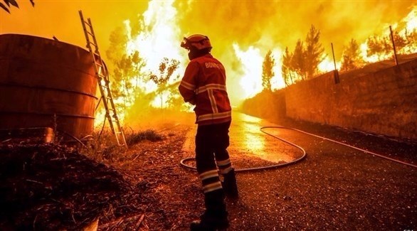 64 قتيلاً في "أسوأ كارثة حريق غابات" خلال سنوات بالبرتغال (أرشيف)