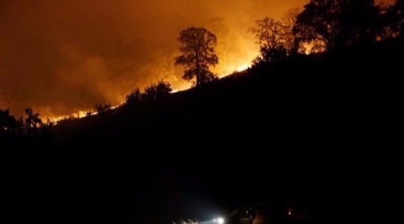 حرائق غابات كاليفورنيا (أرشيف)